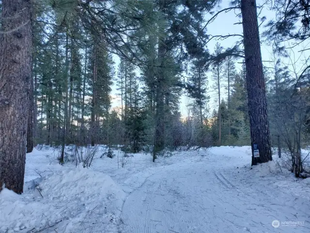 Ski Trail 'Devin Ranch Trail' through Liberty Woodlands. Ski in Ski out from Bearpaw cabin to the nearby Ski Trail.  Sweet, clear air and fast fun trail system is groomed daily.