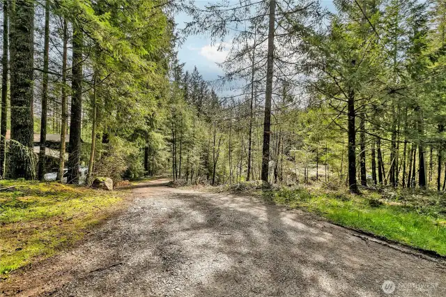 Driveway