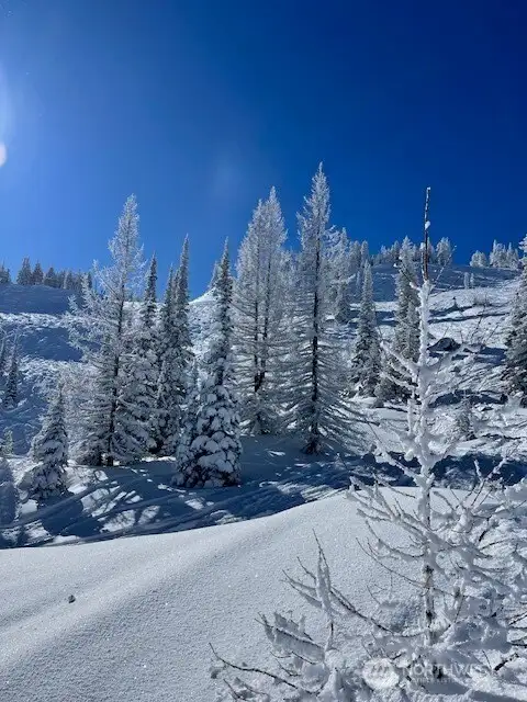 Ski Mission Ridge - Get on the lift in 10-15 min