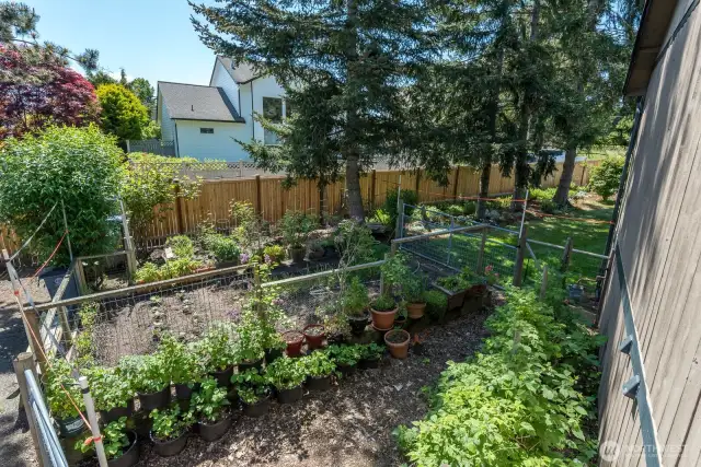 backyard garden space