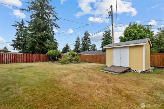 Back Yard