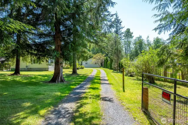 road from gate to house