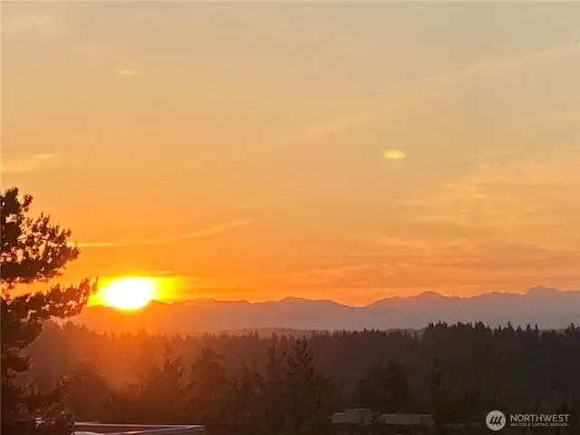 Views from unit private patio