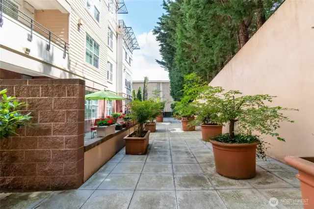 common patio
