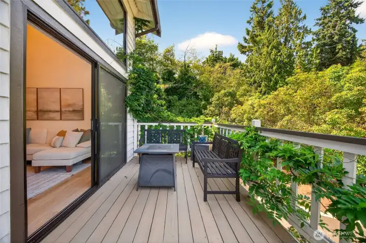 Main floor deck