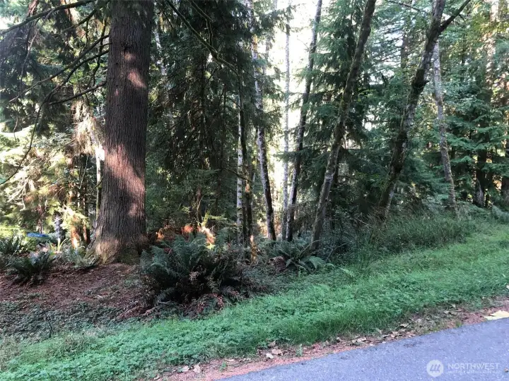 30 Foot Access Easement off of Bramble Way above (right of the vacant lot at 8 Bramble Way).