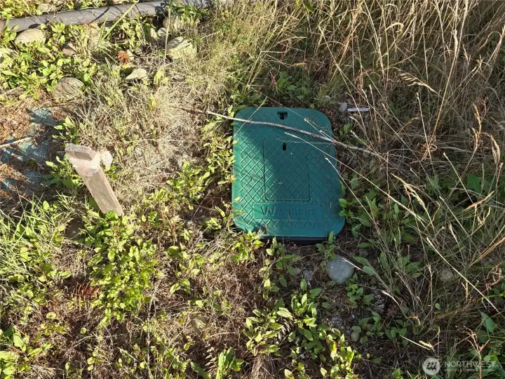 Water on property