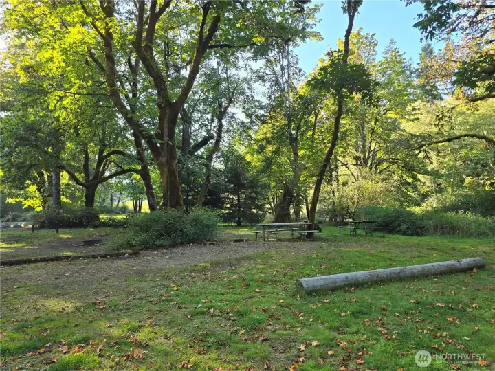 Picnic area/campground at park