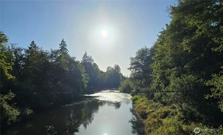 East Satsop River through the park. Great for fishing!
