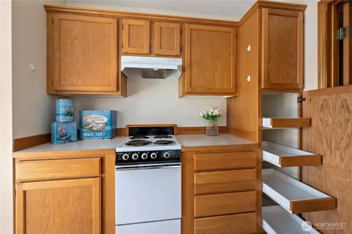 Kitchen Cooktop + Stove w/pull-out shelving/storage.