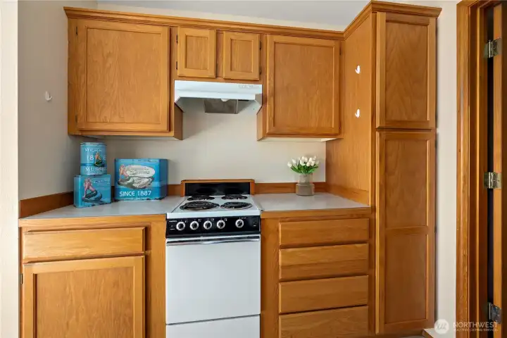 Kitchen Cooktop + Stove w/pull-out shelving/storage closed.