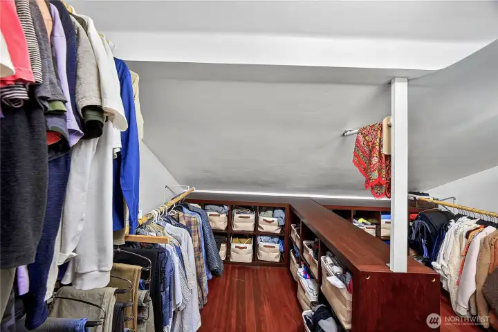 Walk in closet with plenty of storage space.