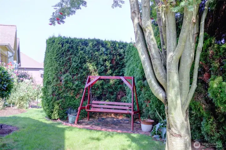 A relaxing corner of the garden in the back yard
