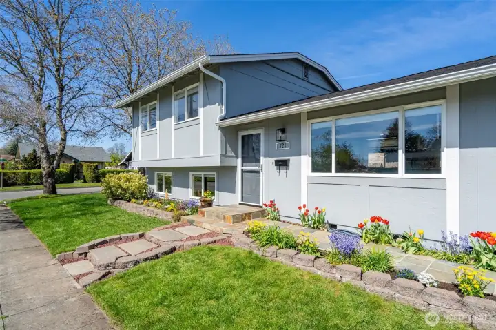 Modern paint palette and Mature landscaping.