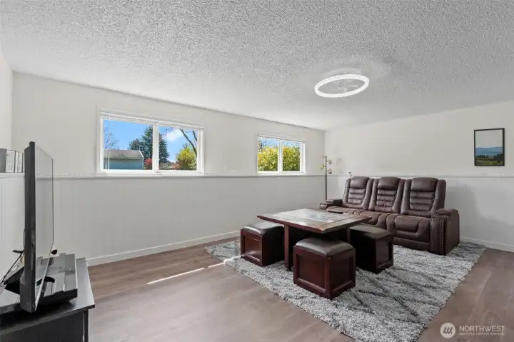Lower level Living Room