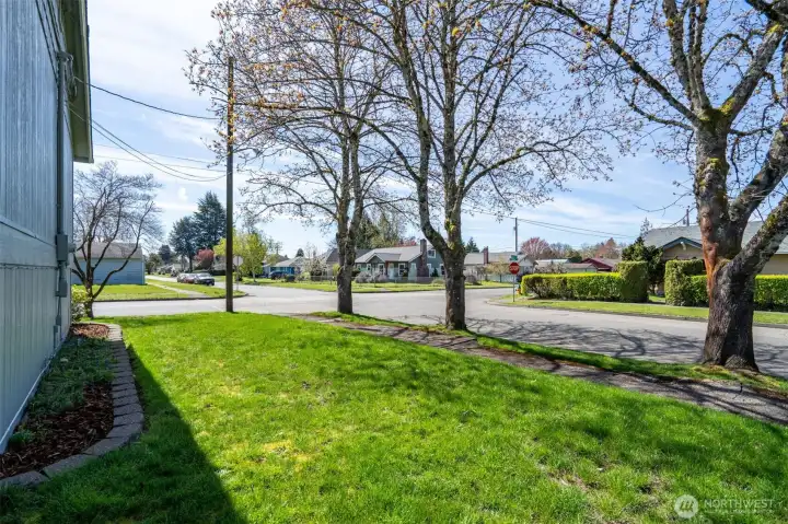 Side yard is a nice additional space.