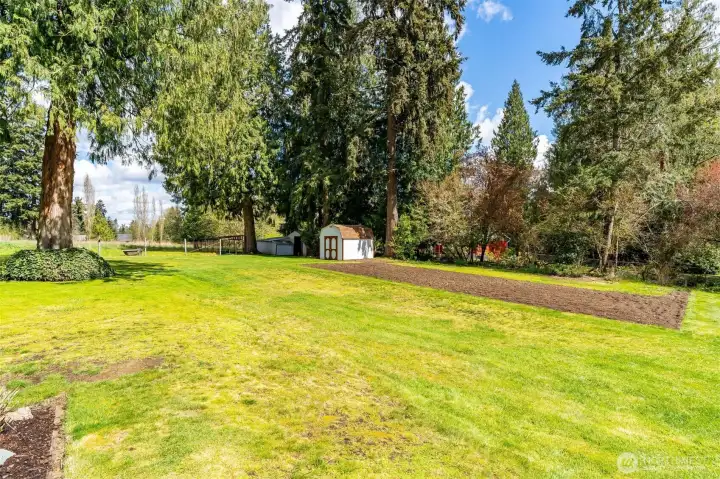 Huge garden space, storage sheds, dog kennel or goat pen, and a sprawling pasture. This property has everything!