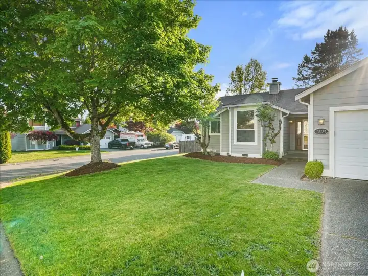 Enjoy views of Mt. Rainier from the front yard.