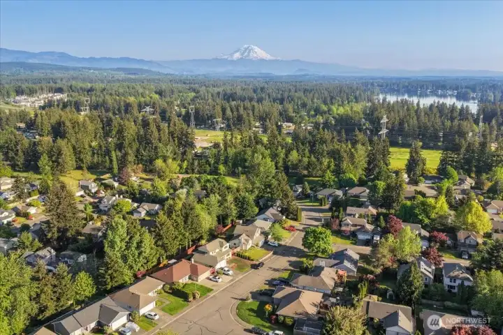 A view of Mt. Rainier from the front yard.