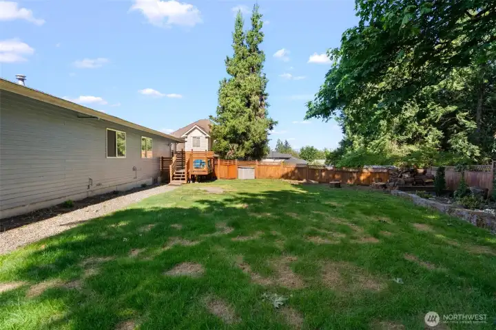 Back yard
