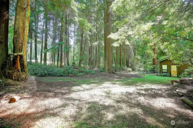 Some cleared areas surrounded by woods.