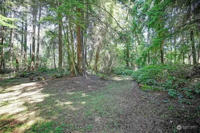 Cleared area close to Pan Abode cabin and shed on lot 7. Plenty of room to park and turn around; room for RV.