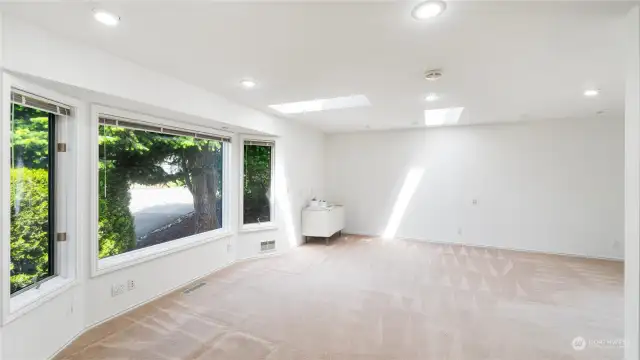 Large downstairs bedroom with large windows for light.