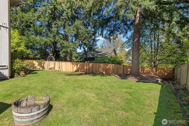 Garden towards the back of the home.