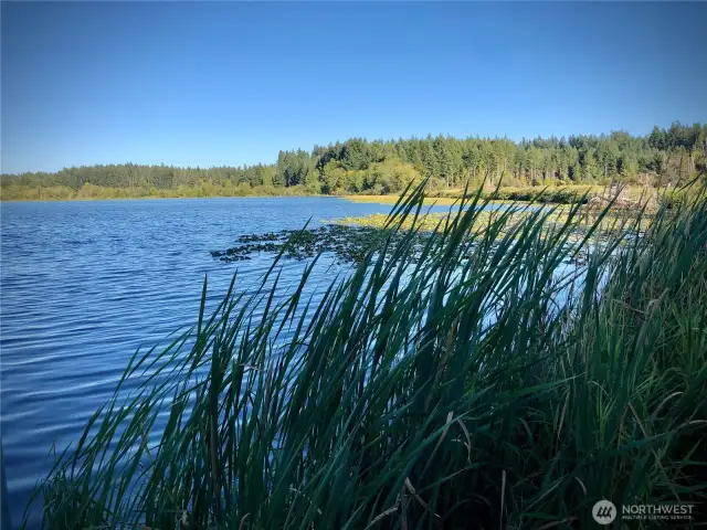 Scott Lake