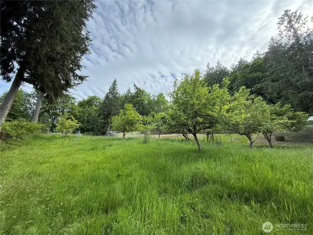Upper Orchard