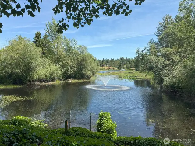 Lake Area