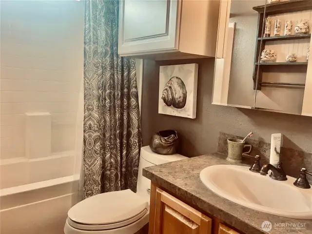Guest bath