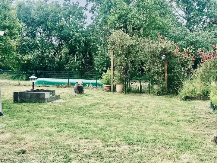 Private yard backs up to a green space