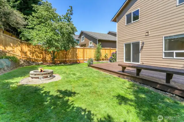 Back yard.