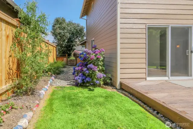 Side yard with mature landscaping.