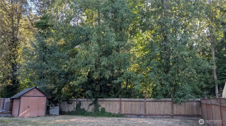 Mature Greenbelt