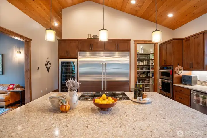 SS appliances including your very oiwn wine refrigerator.