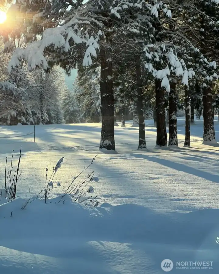 Winter on the golf course!
