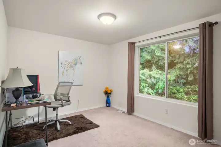 Bedroom 3 - 2nd floor  New carpet is grey color
