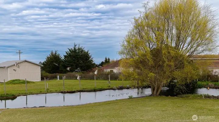 Lawn and landscaping