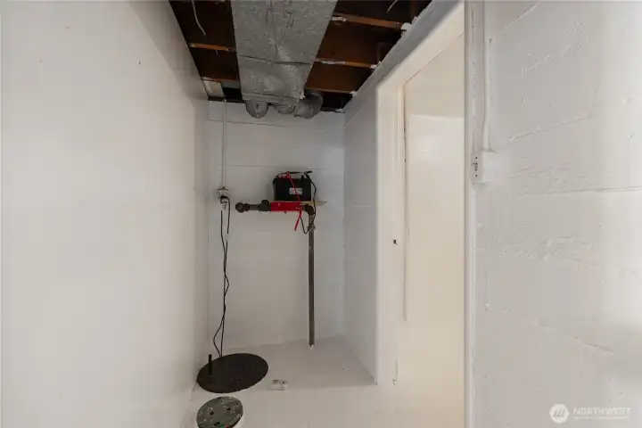 Sump pump with battery backup.