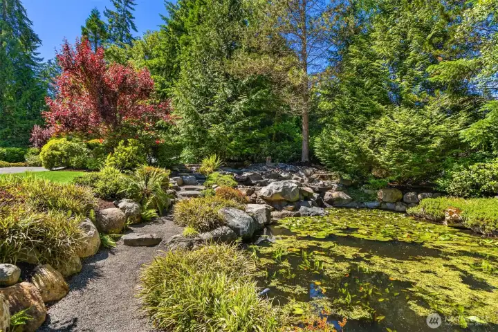 Four-tiered waterfall to a gorgeous, peaceful pond.