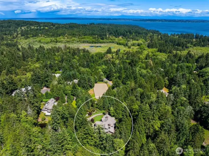 Derby Downs is one of Bainbridge Island's premier neighborhoods with privately owned, well cared for streets, bridle trails, open space and a riding arena. Adjacent to the Grand Forest just a stone's throw to public schools! Int his photo you can see Meigs park just past the arena.