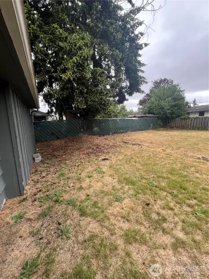 1642 backyard fully fenced