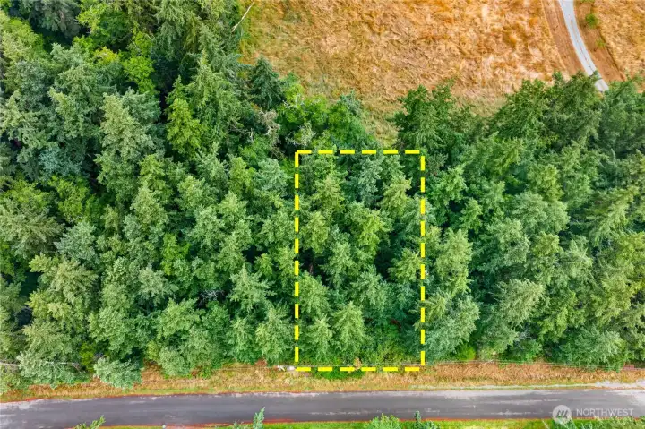 Aerial view of the wooded lot Aerial view of the wooded lot