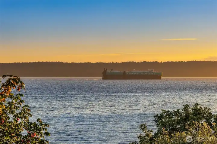Watch world-traveling vessels cross the bay from the comfort of Home. Watch world-traveling vessels cross the bay from the comfort of Home.