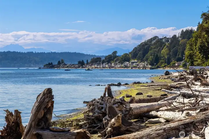 The shoreline towards the south with Three Tree Point. At low tide, one can explore the bay by foot if desired. The shoreline towards the south with Three Tree Point. At low tide, one can explore the bay by foot if desired.