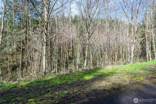 property from the Champion Rd side as you drive in.