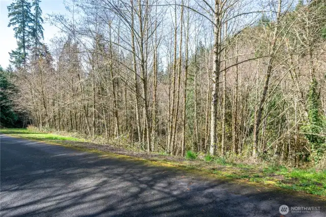 access to the creek from this side of champion road too