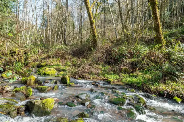 Beautiful creek on the east side of the property